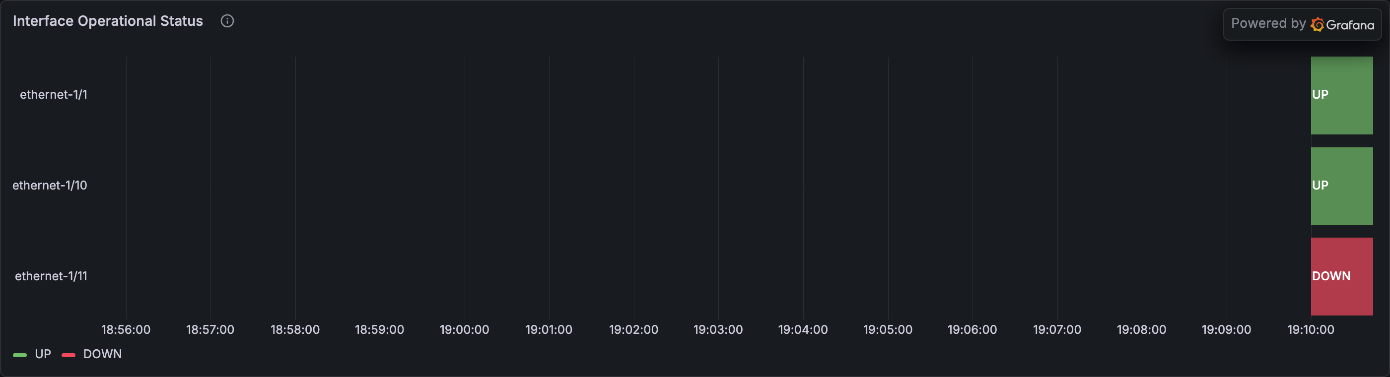 Interface Operational Status panel
